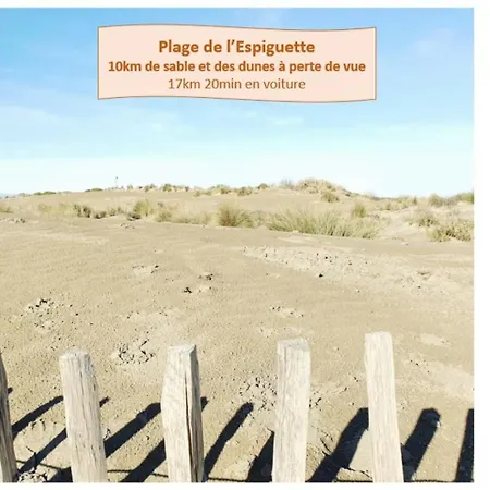 Apartamento Vasco à Deux Pas Des Plages Parking Privé Clim Wifi - Rossiconciergerie - Linge Inclus